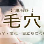 脱毛器　毛穴